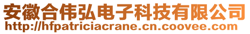 安徽合偉弘電子科技有限公司