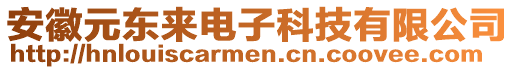 安徽元東來電子科技有限公司