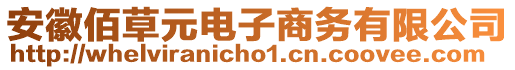 安徽佰草元電子商務(wù)有限公司