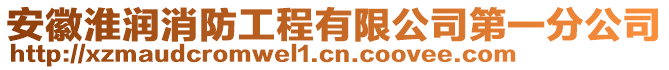 安徽淮潤消防工程有限公司第一分公司