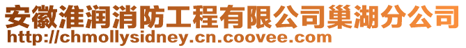 安徽淮潤消防工程有限公司巢湖分公司