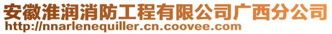 安徽淮潤消防工程有限公司廣西分公司