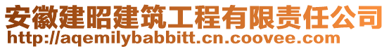 安徽建昭建筑工程有限責任公司