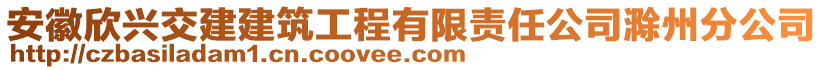安徽欣興交建建筑工程有限責任公司滁州分公司