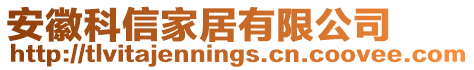 安徽科信家居有限公司