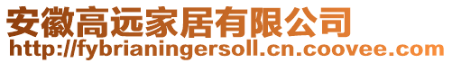 安徽高遠家居有限公司