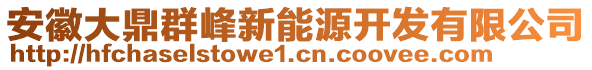 安徽大鼎群峰新能源開發(fā)有限公司