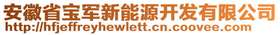 安徽省寶軍新能源開發(fā)有限公司
