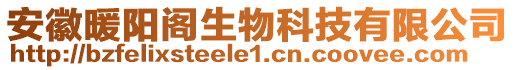 安徽暖陽閣生物科技有限公司