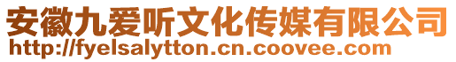 安徽九愛聽文化傳媒有限公司