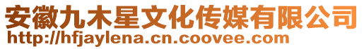 安徽九木星文化傳媒有限公司