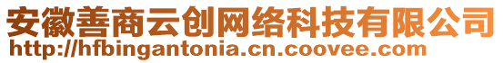 安徽善商云創(chuàng)網(wǎng)絡(luò)科技有限公司