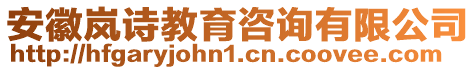 安徽嵐詩教育咨詢有限公司