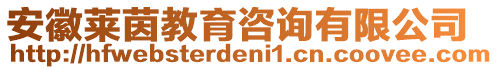 安徽萊茵教育咨詢有限公司