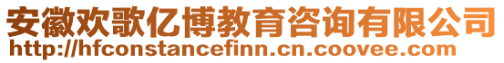 安徽歡歌億博教育咨詢有限公司