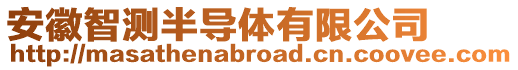 安徽智測(cè)半導(dǎo)體有限公司