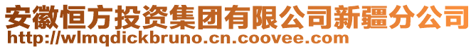 安徽恒方投資集團(tuán)有限公司新疆分公司