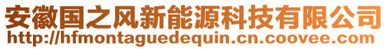 安徽國之風新能源科技有限公司