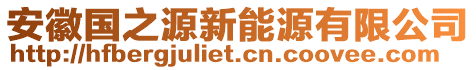 安徽國之源新能源有限公司