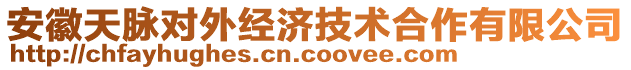 安徽天脈對外經(jīng)濟技術(shù)合作有限公司