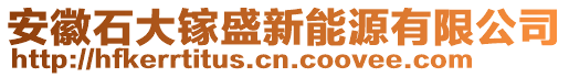 安徽石大鎵盛新能源有限公司