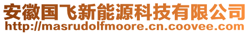 安徽國(guó)飛新能源科技有限公司