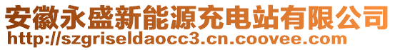 安徽永盛新能源充電站有限公司