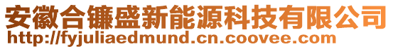 安徽合鐮盛新能源科技有限公司