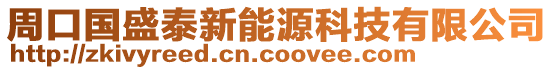 周口國(guó)盛泰新能源科技有限公司