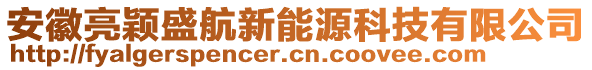 安徽亮穎盛航新能源科技有限公司