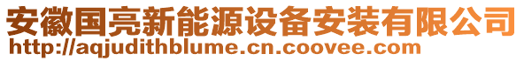 安徽國亮新能源設(shè)備安裝有限公司