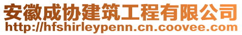 安徽成協(xié)建筑工程有限公司