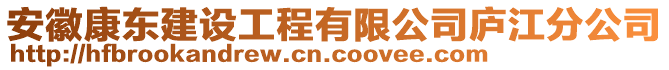 安徽康東建設工程有限公司廬江分公司