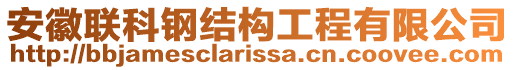 安徽聯(lián)科鋼結(jié)構(gòu)工程有限公司