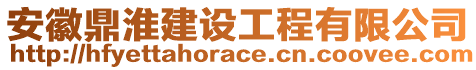 安徽鼎淮建設(shè)工程有限公司