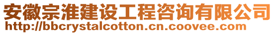 安徽宗淮建設工程咨詢有限公司