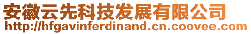 安徽云先科技發(fā)展有限公司