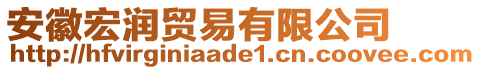 安徽宏潤(rùn)貿(mào)易有限公司