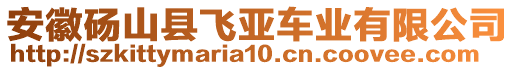 安徽碭山縣飛亞車業(yè)有限公司