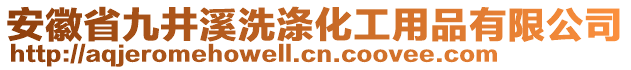 安徽省九井溪洗滌化工用品有限公司