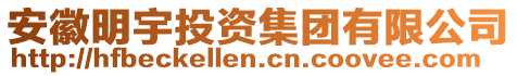 安徽明宇投資集團(tuán)有限公司