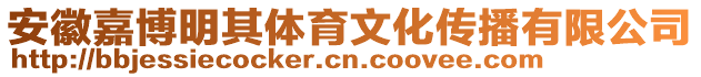 安徽嘉博明其體育文化傳播有限公司