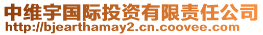 中維宇國際投資有限責(zé)任公司