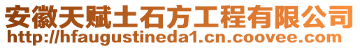 安徽天賦土石方工程有限公司