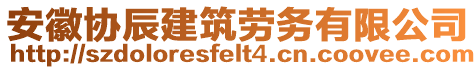 安徽協(xié)辰建筑勞務(wù)有限公司