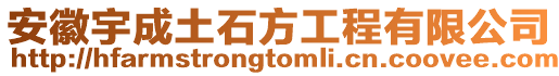 安徽宇成土石方工程有限公司