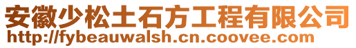 安徽少松土石方工程有限公司