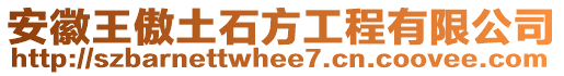 安徽王傲土石方工程有限公司