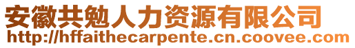 安徽共勉人力資源有限公司