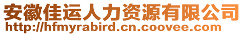 安徽佳運(yùn)人力資源有限公司